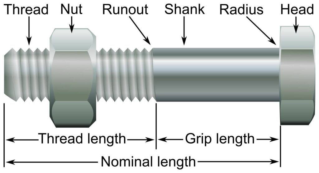 Assess the various features of the hex bolt and nut before selection