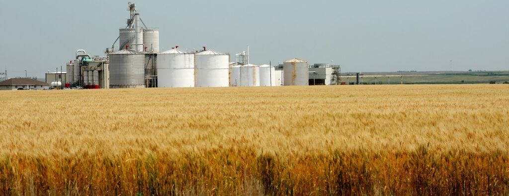 Biofuel production facility