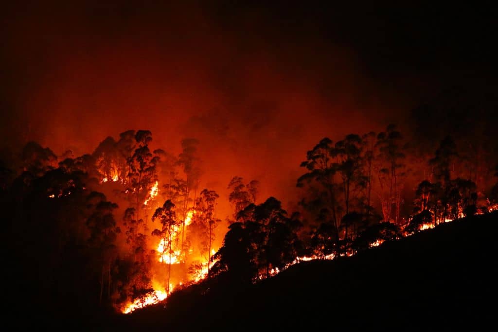 Drought-driven wildfire in Brazil