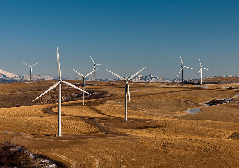 Wind Farm generating clean energy
