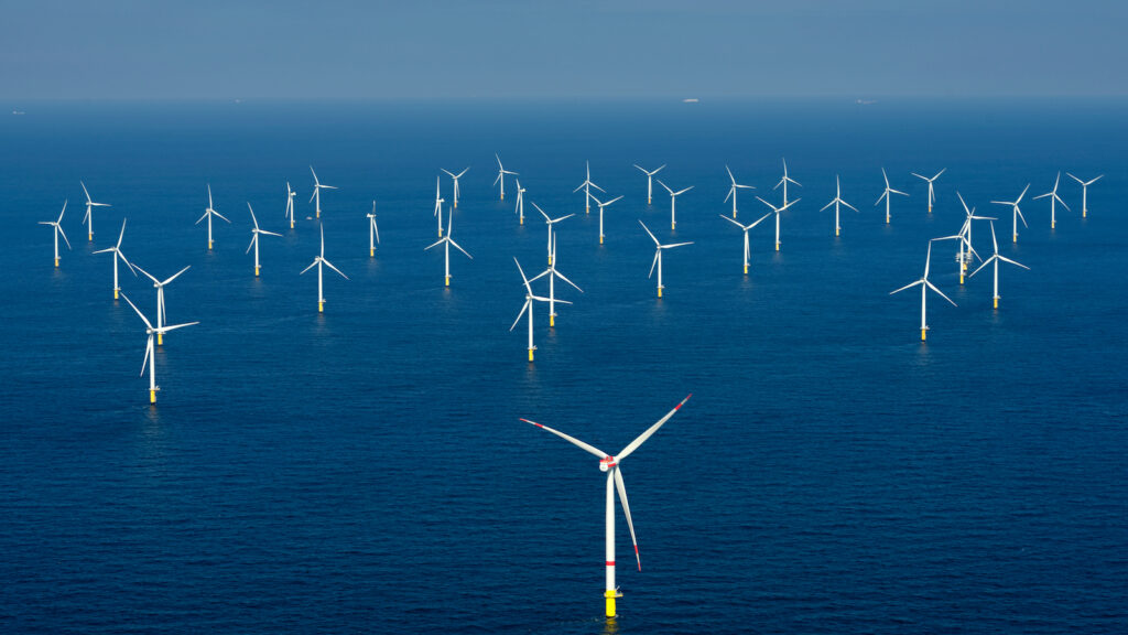 Offshore wind farm development